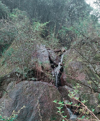 盐帮古道感觉有点坑,慎重爬山,一圈的话要翻两座山,腿走废!