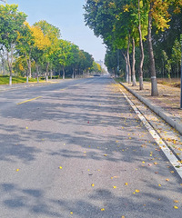 �������ӱ���Ȥ�� ���ǲ������ε�����