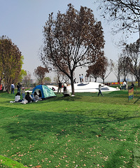 ���Ĳ�����԰Ұ�׷�+�޶�����԰��С�����浽��ڲ���ؼ�