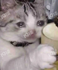 ����˫����ɶʱ��������ҿ���ס�ˣ�