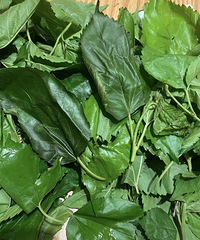 ɶʱ����ȡ��ѧ�����ϣ��Ҹ�ɣ������