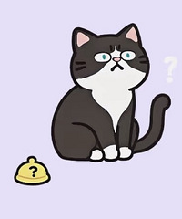 ������ӿ����˻����������