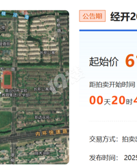 【土拍直播】姚家荡一线湖景低密宅地来袭!今年土拍就看这场?