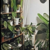 ������̨����ֲ��