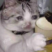 ����˫�����ҿ���ס��