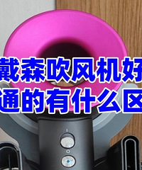 ��ɭ��ô�󣬺�����