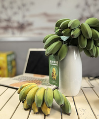 [��ֹ����]�ڰ칫��Ҳ������ˮ��ƻ����