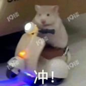 ��õ��ʲ����ǲ�����