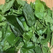 ɶʱ����ȡ��ѧ������