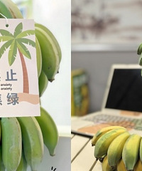 ��ֹ���̣��ڰ칫��Ҳ������ˮ��ƻ����