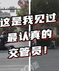 ��Ҫ�������������