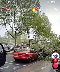 ���������̫���ˣ��������������ﱻ�Ʒ���