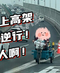 ���治Ҫ�����㣡