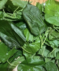 ɶʱ����ȡ��ѧ�����ϣ��Ҹ�ɣ������