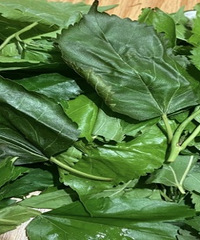 ɶʱ����ȡ��ѧ�����ϣ�