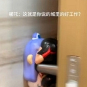 �����������ƣ�