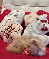 �ҵ���޴��ӱ�����˯�˻鴲��