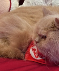 �ҵ���޴��ӱ�����˯�˻鴲��