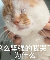 ���Ӳ�������Ҳ������