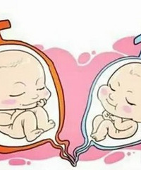 ��ô��֪��������Ů�������к�����