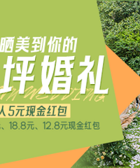 ��������ɹ������Ĳ�ƺ����?���ֽ�����