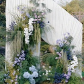 �����еĲ�ƺ������