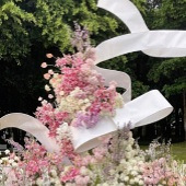 ��ϲ����ɫ�Ļ���