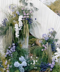 �����еĲ�ƺ�����ã�������������ƮƮ�ĸо�