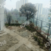 ������������Ĵ�լ��