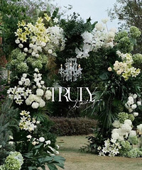 С���µĲ�ƺ����