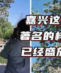 ��ĩ����ȥ�򿨣�