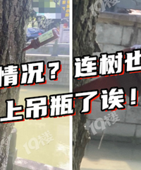 �벻����������ã�