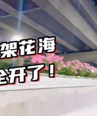 ����һ���ӱ������֮���ˣ�