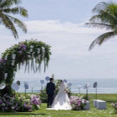 ��ƺ������ĺܷ��ɣ�