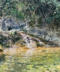 ����ͽ����Ҧ����ŵ� ����5����