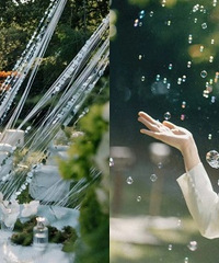 �ǲ������ĺò�������ƺ����