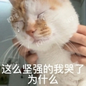 ���Ӳ�������Ҳ������