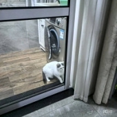 �ֵ���ë������ù���