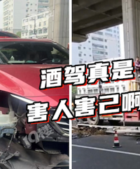 ������˵����������Ů˾����