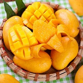 â�����Ǿ��Բ��ܴ���