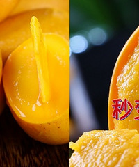 ����С̨â��â�����Ǿ��Բ��ܴ�����