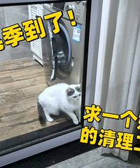 һ��һ�ȵ�ë�����ˣ�����õ��������ߣ�