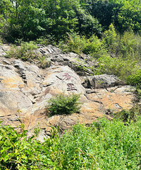 һ����С�ڵ�ͽ��·�ߣ���ʢ����壡����6���