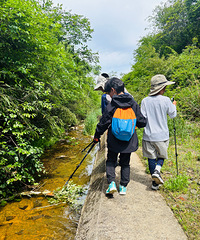 һ����С�ڵ�ͽ��·�ߣ���ʢ����壡����6���