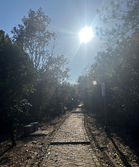 �򿨺�����ɽ����ɽͽ����һ��С�ڵ��Ǻܺ�����ɽ��