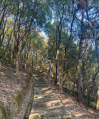 �򿨺�����ɽ����ɽͽ����һ��С�ڵ��Ǻܺ�����ɽ��