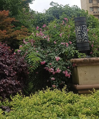 ������һ�������Թܣ�������Ȼ��������