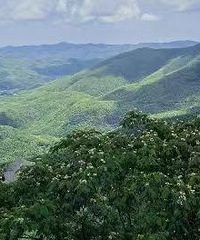 90����ͨ������û�л����Ҹ�־ͬ���ϵ���