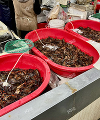 ���С��Ϻ�۸񱩵��˰���