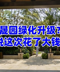 ����԰�̻���������